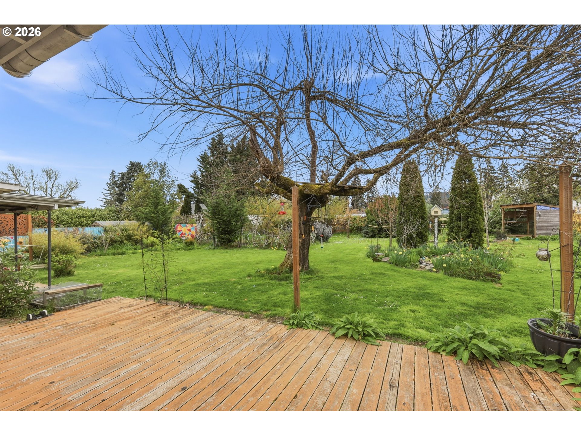 710 South 1st Street Cottage Grove, OR 97424 - Photo 35 of 46 a view of a backyard with wooden fence