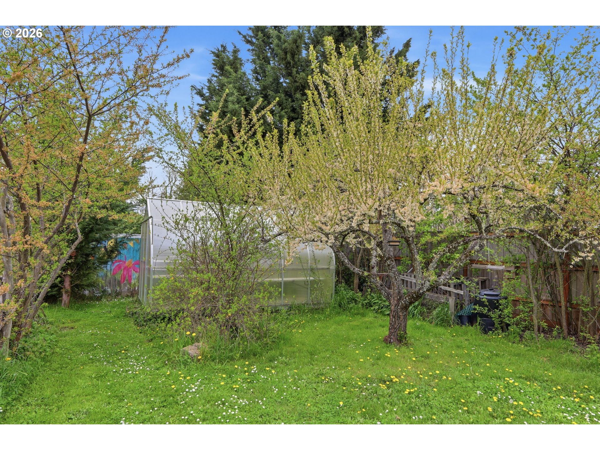 710 South 1st Street Cottage Grove, OR 97424 - Photo 38 of 46 a view of an outdoor space