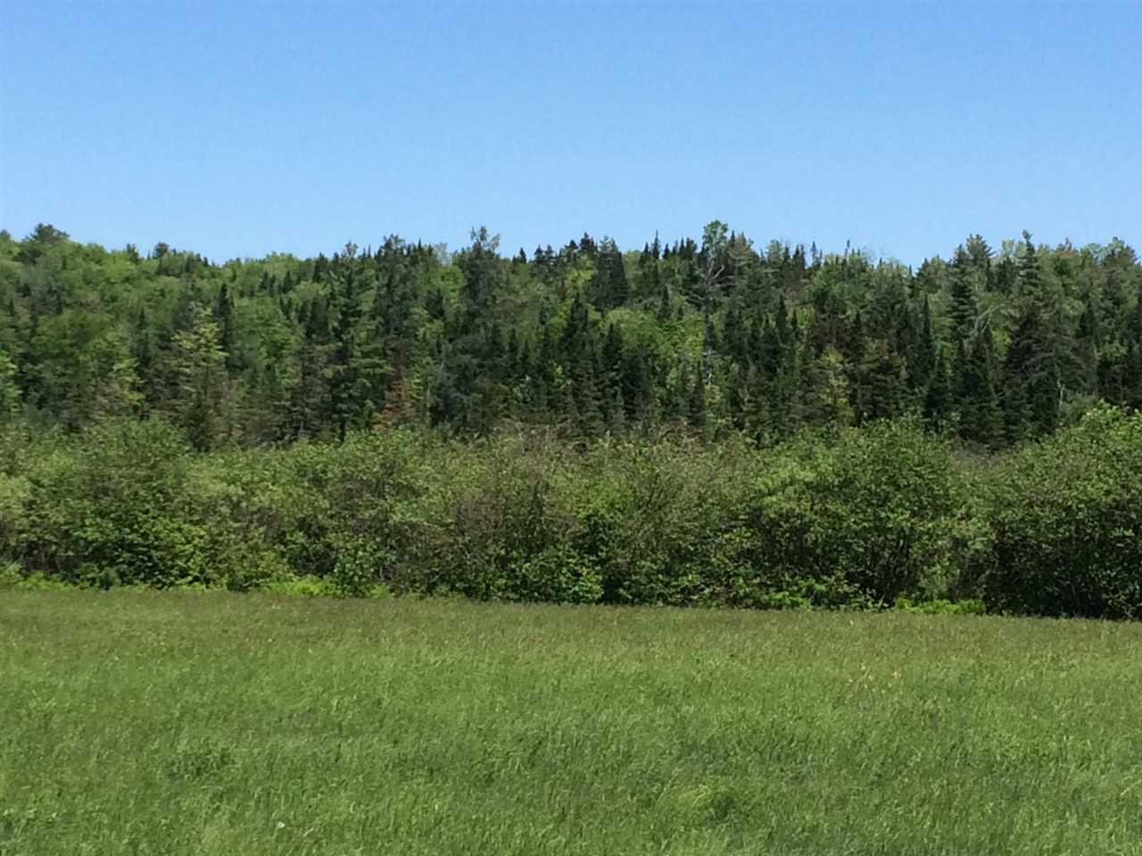 5 Knowles Flat Road, Unit E Eden, VT 05652 - Photo 3 of 7