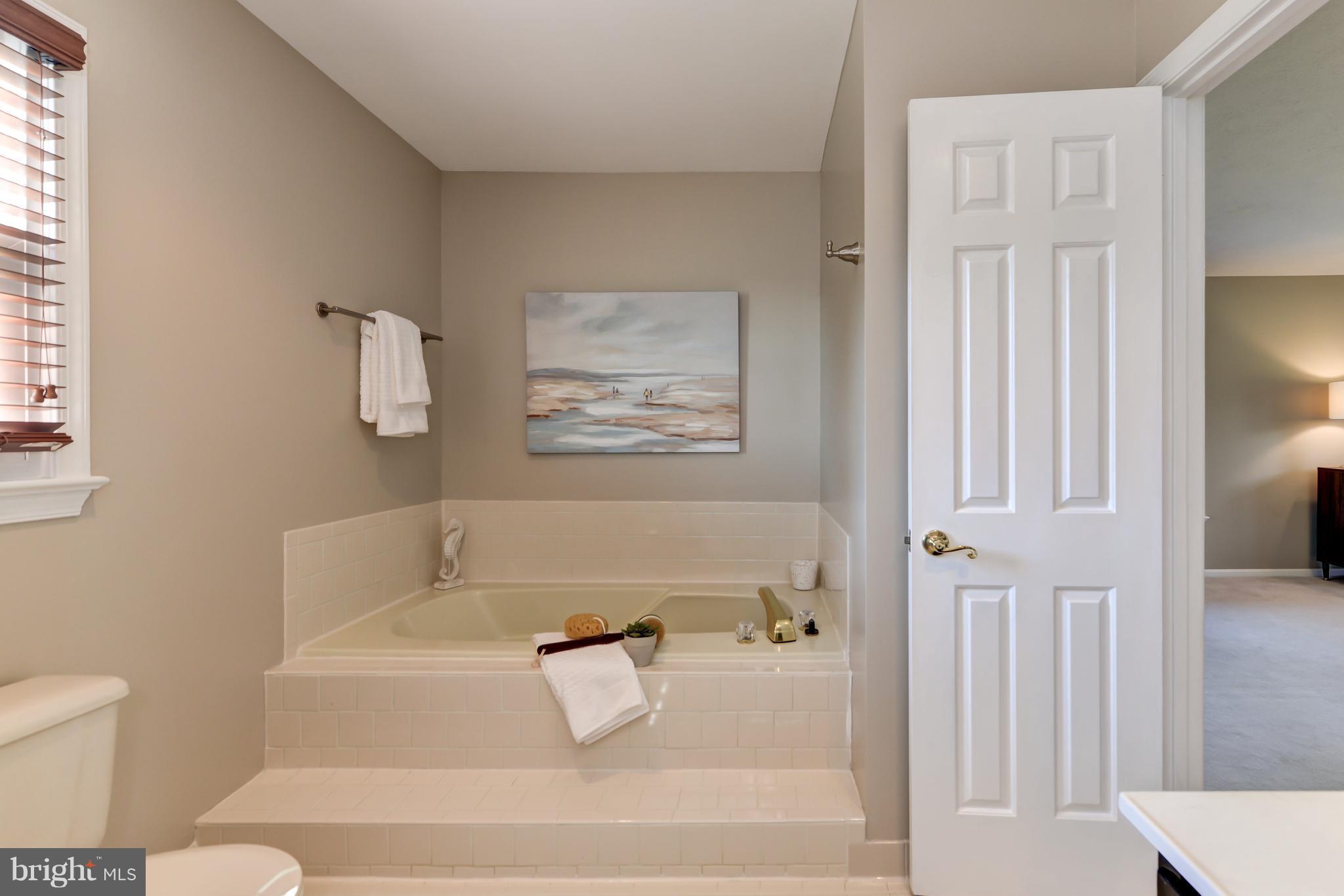16305 Whitehaven Road Silver Spring, MD 20906 - Photo 16 of 29 Bath (Master)