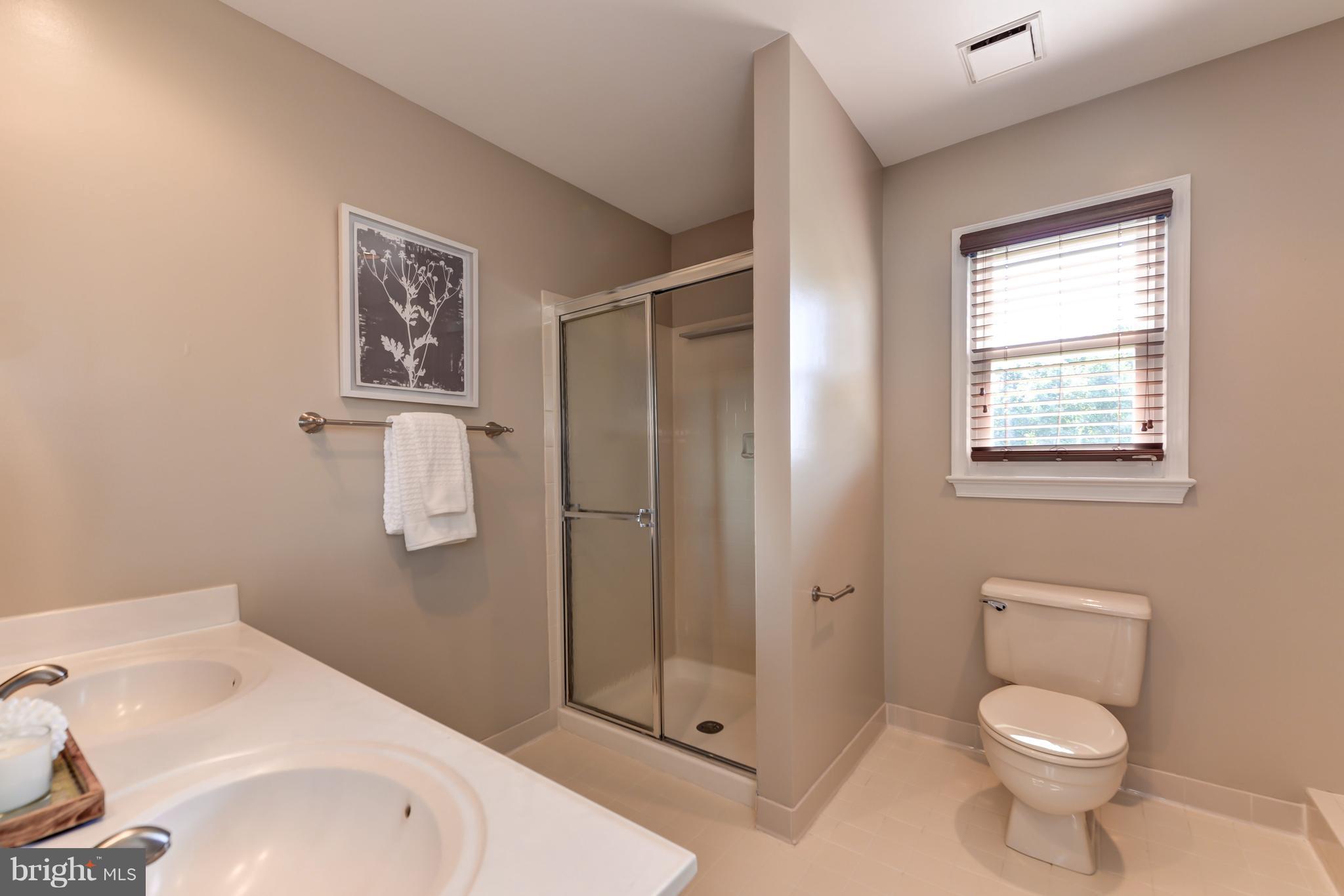 16305 Whitehaven Road Silver Spring, MD 20906 - Photo 17 of 29 Bath (Master)