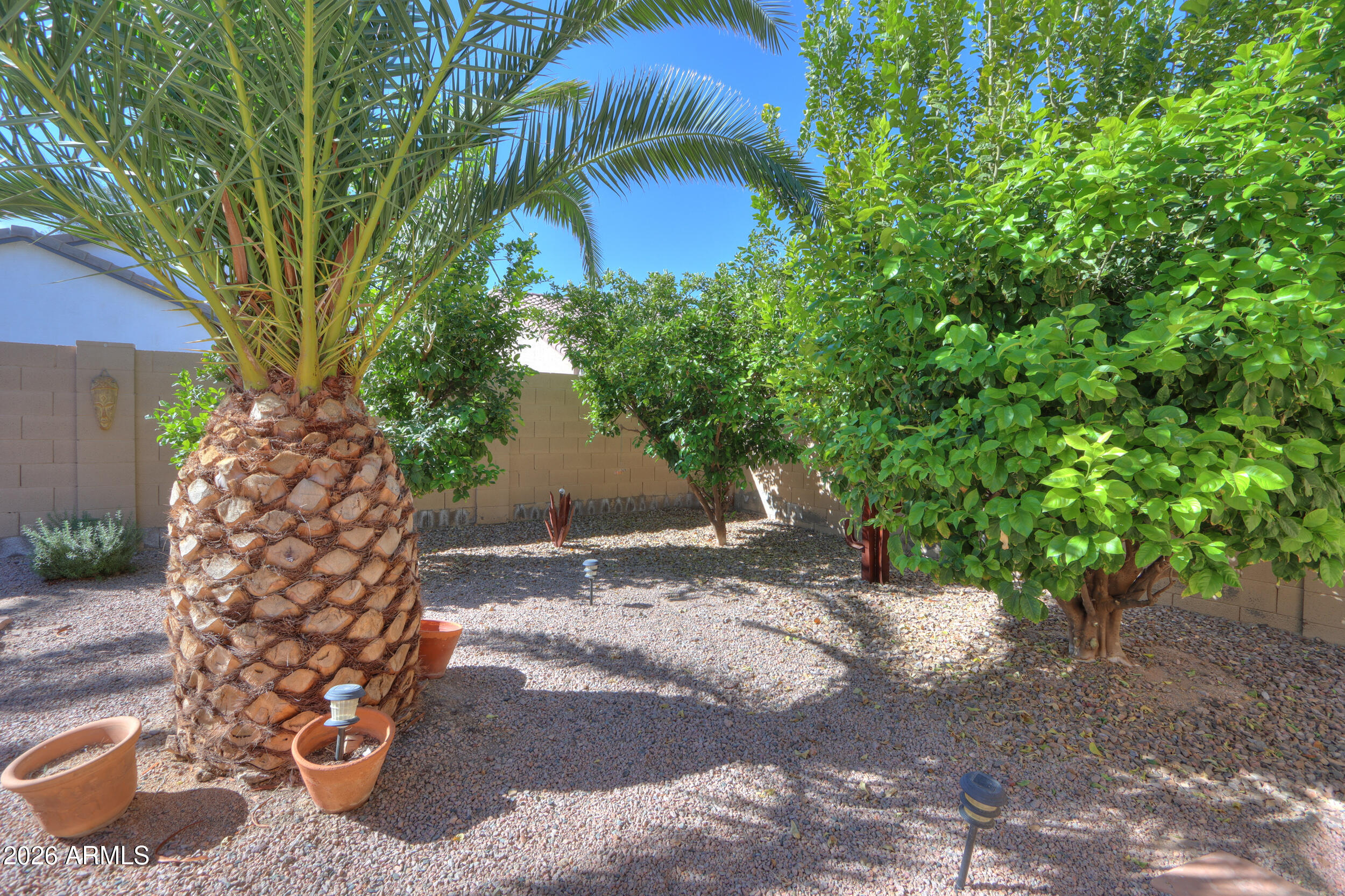 45085 Mescal Street Maricopa, AZ 85139 - Photo 36 of 36 37