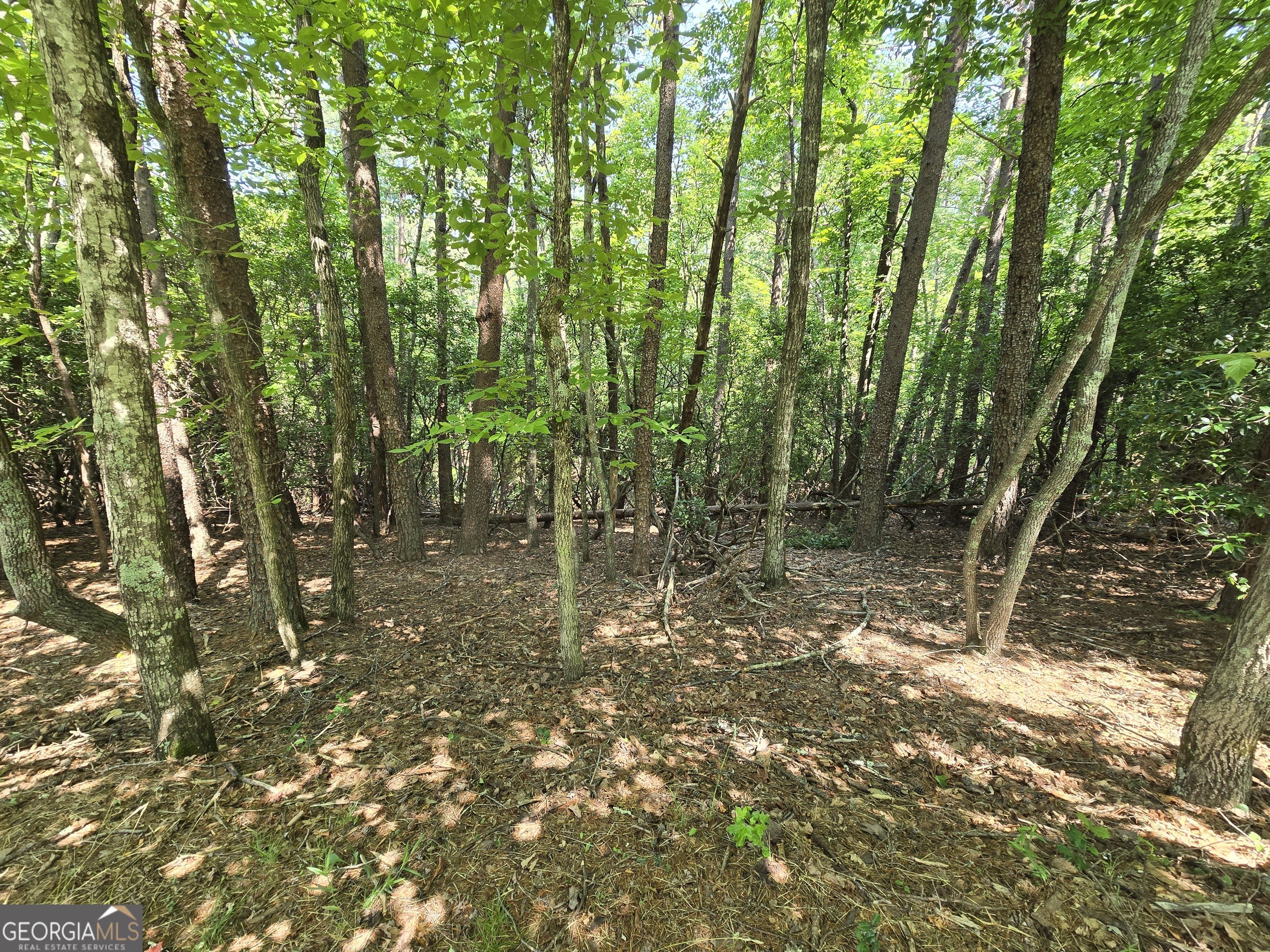 C2 Quail Run Sautee Nacoochee, GA 30571 - Photo 1 of 17
