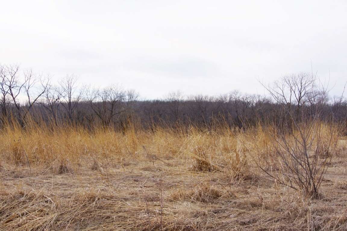 East Miller Road Edelstein, IL 61526 - Photo 4 of 8 Gallery Image 4