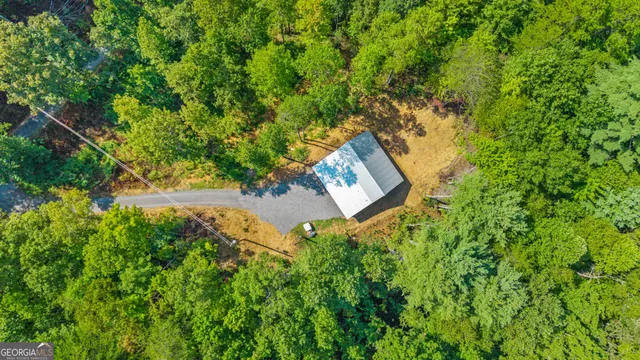 a view of a tree in a yard