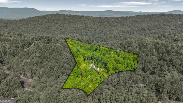 a view of a lush green field with mountains in the background