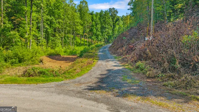 a view of a pathway with a park
