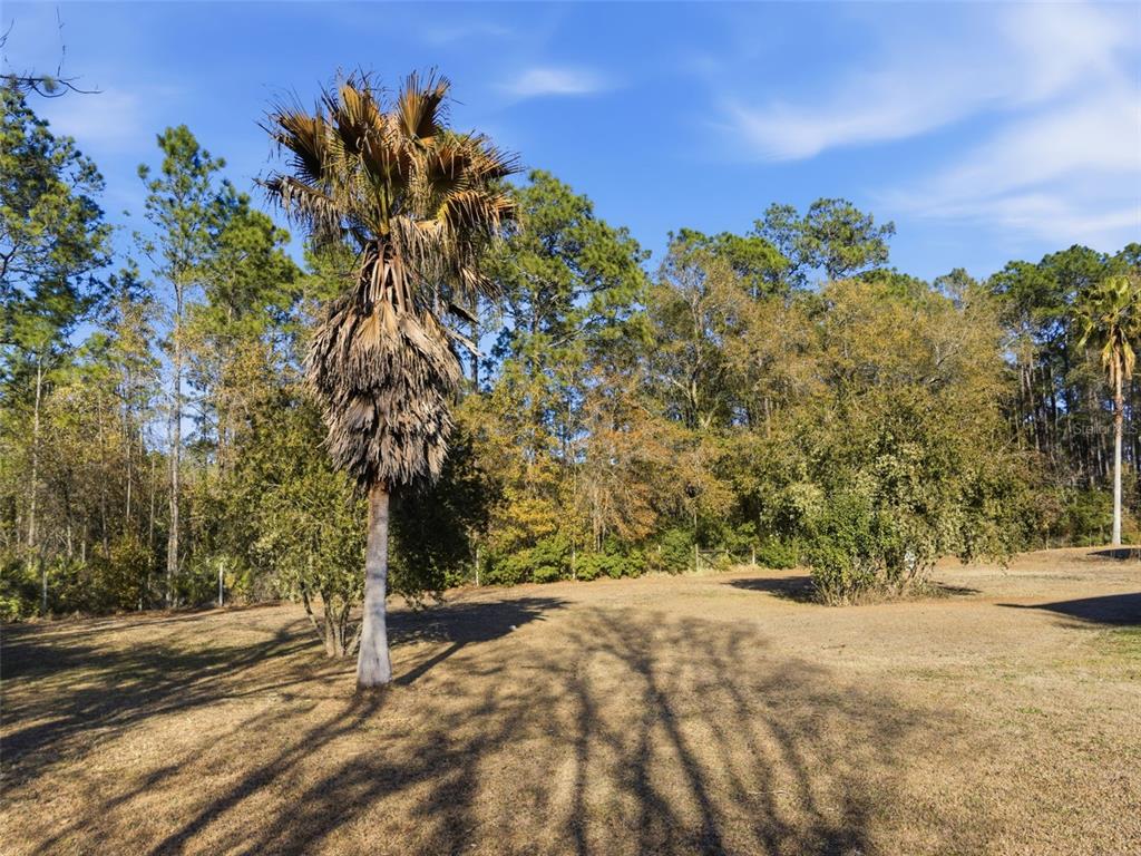 100 Camp Road Palatka, FL 32177 - Photo 35 of 40