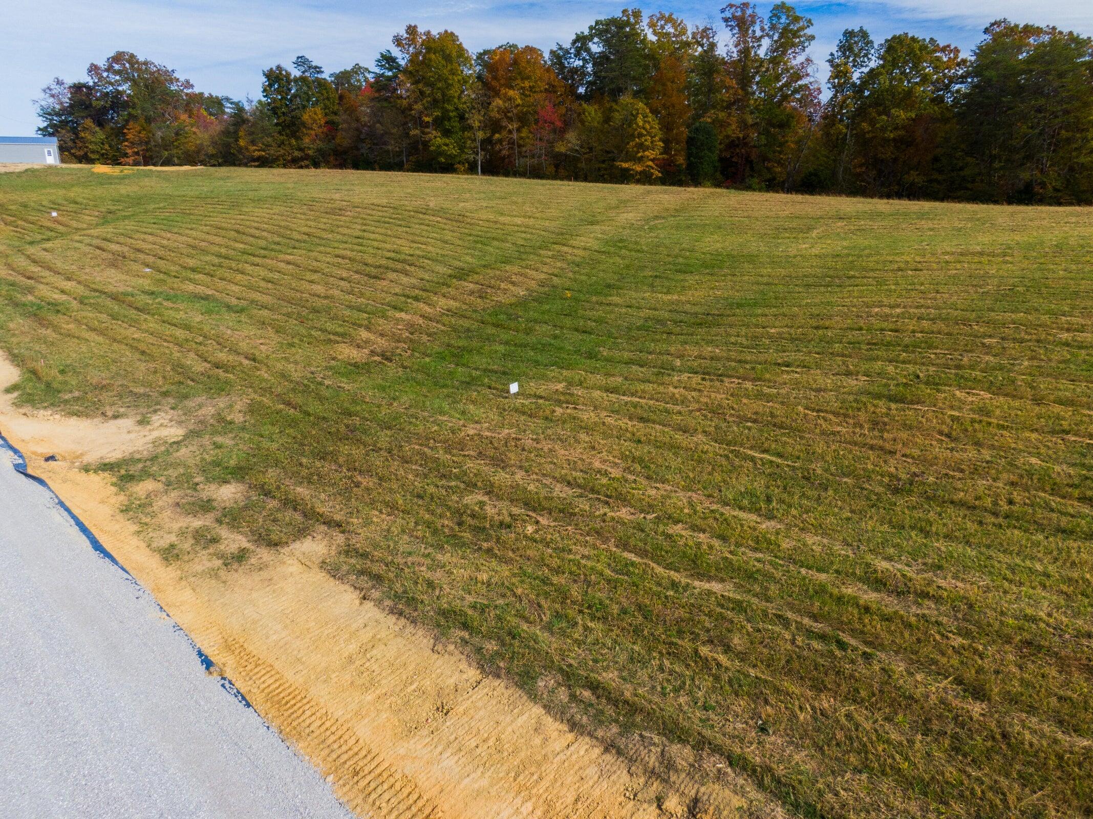 32 Spring Branch Road Nancy, KY 42544 - Photo 2 of 6 20251104141946370607000000-o