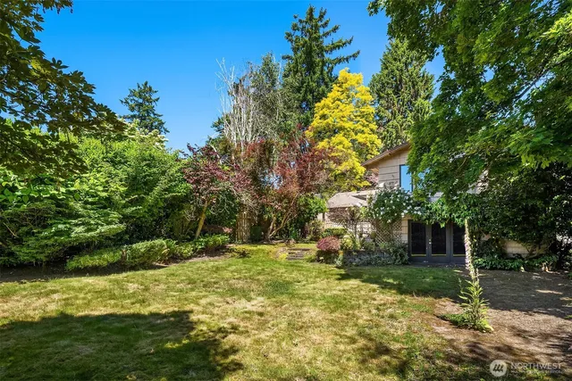 a view of a tree in front of a house with a big yard