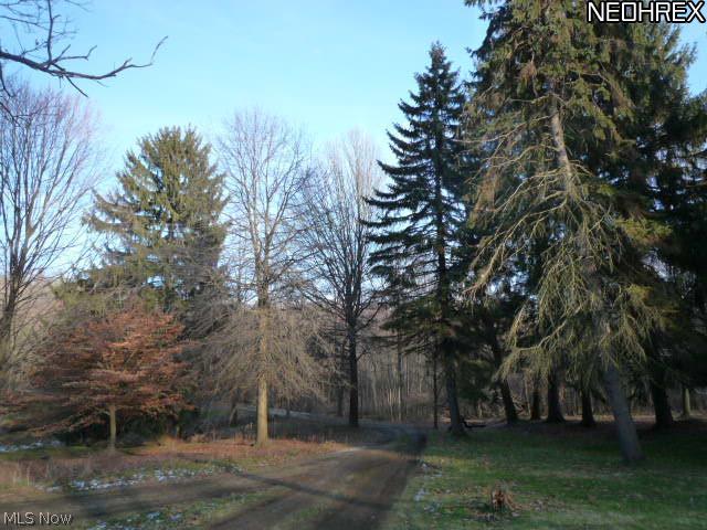272 Hatch Road Wadsworth, OH 44281 - Photo 16 of 16