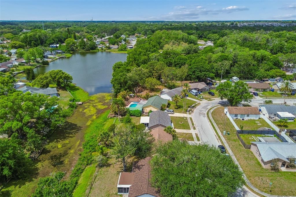 7038 Jenner Avenue New Port Richey, FL 34655 - Photo 51 of 60