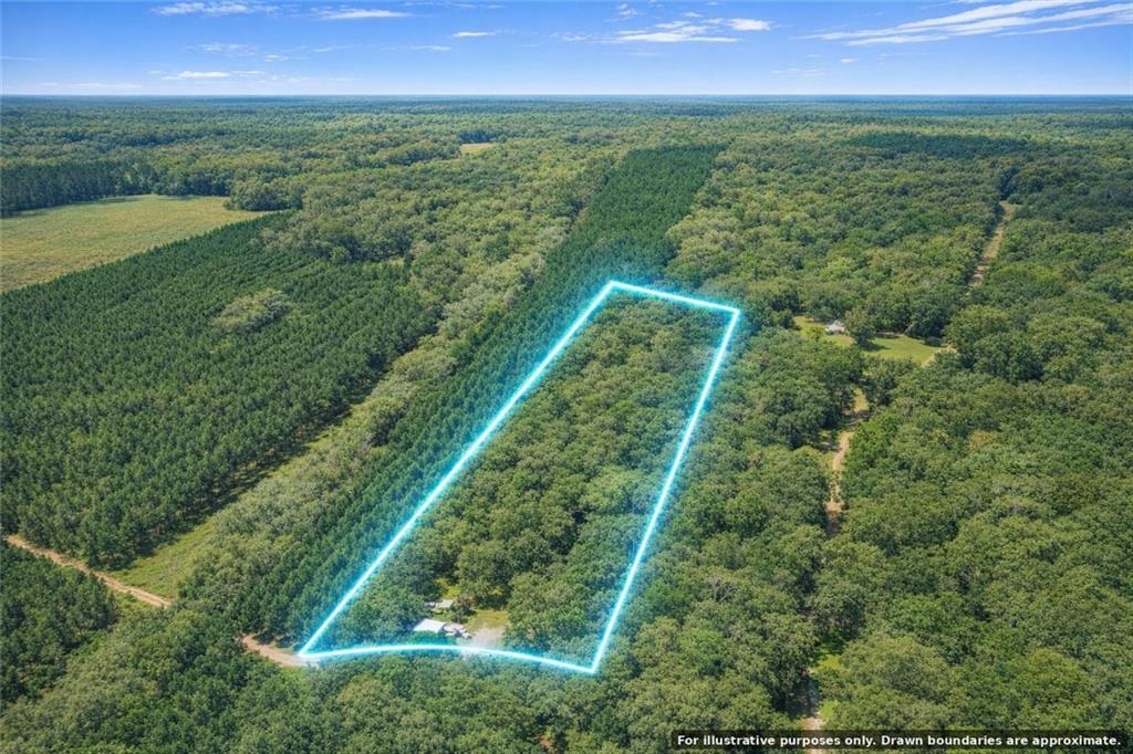 5435 Springhill Road North Folkston, GA 31537 - Photo 3 of 24 a view of a green field with an ocean
