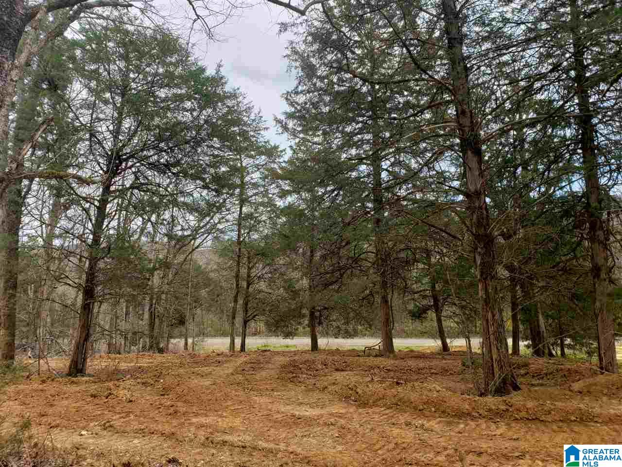 0 Remlap Drive, Unit 1 Remlap, AL 35133 - Photo 8 of 11