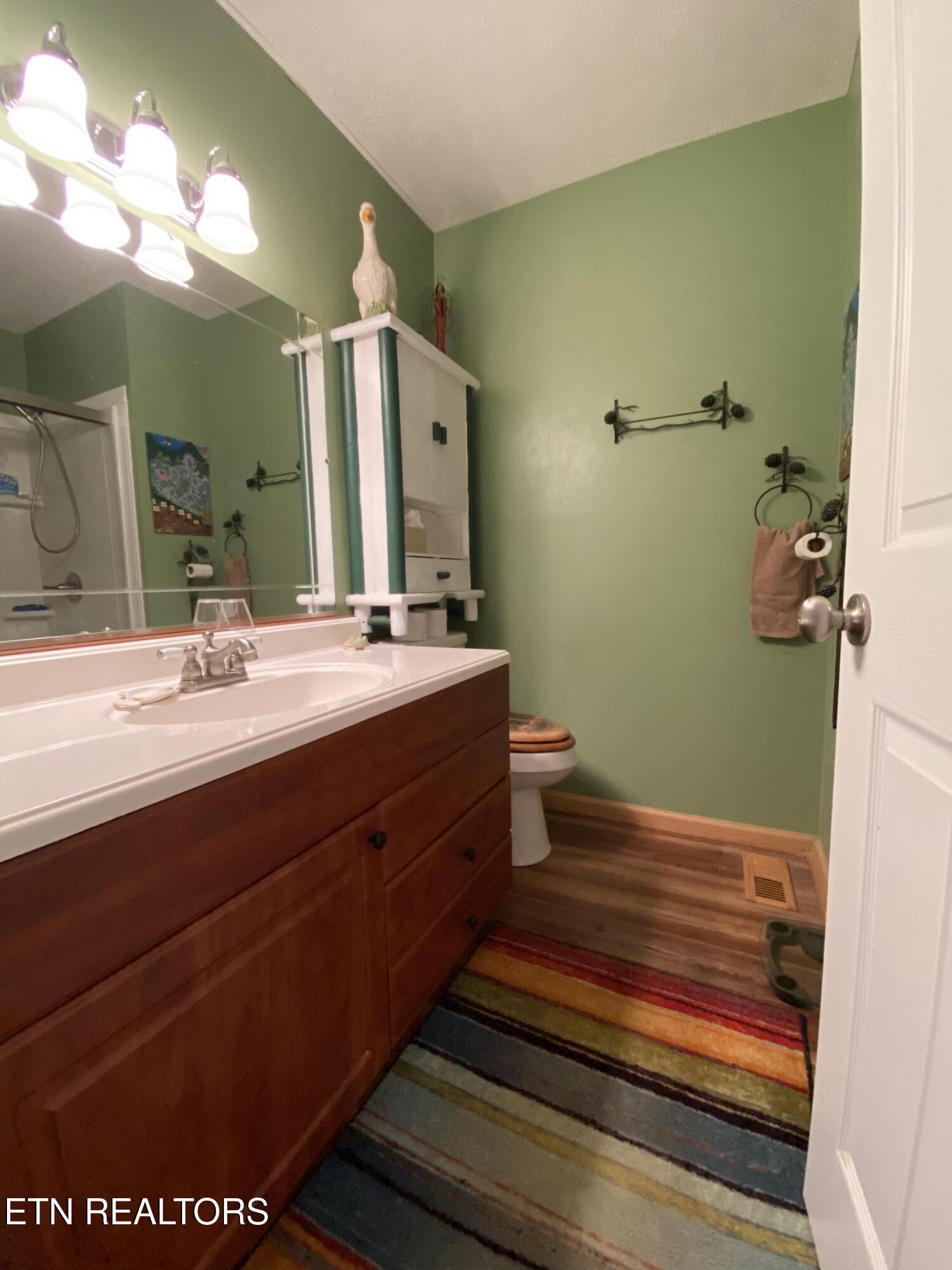 886 Pin Hook Road Spring City, TN 37381 - Photo 27 of 30 Guest bath