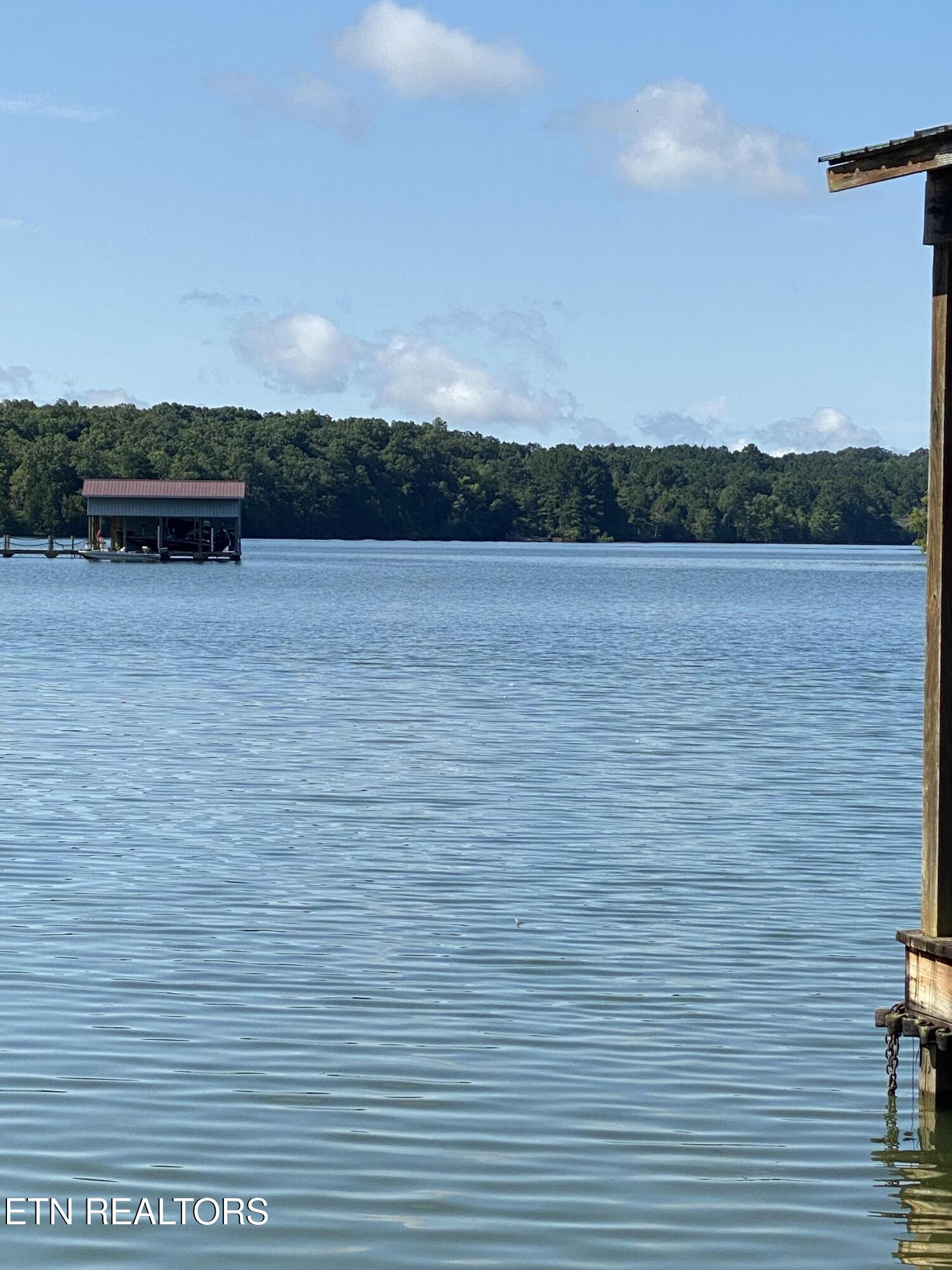 886 Pin Hook Road Spring City, TN 37381 - Photo 4 of 30 Pin Hook