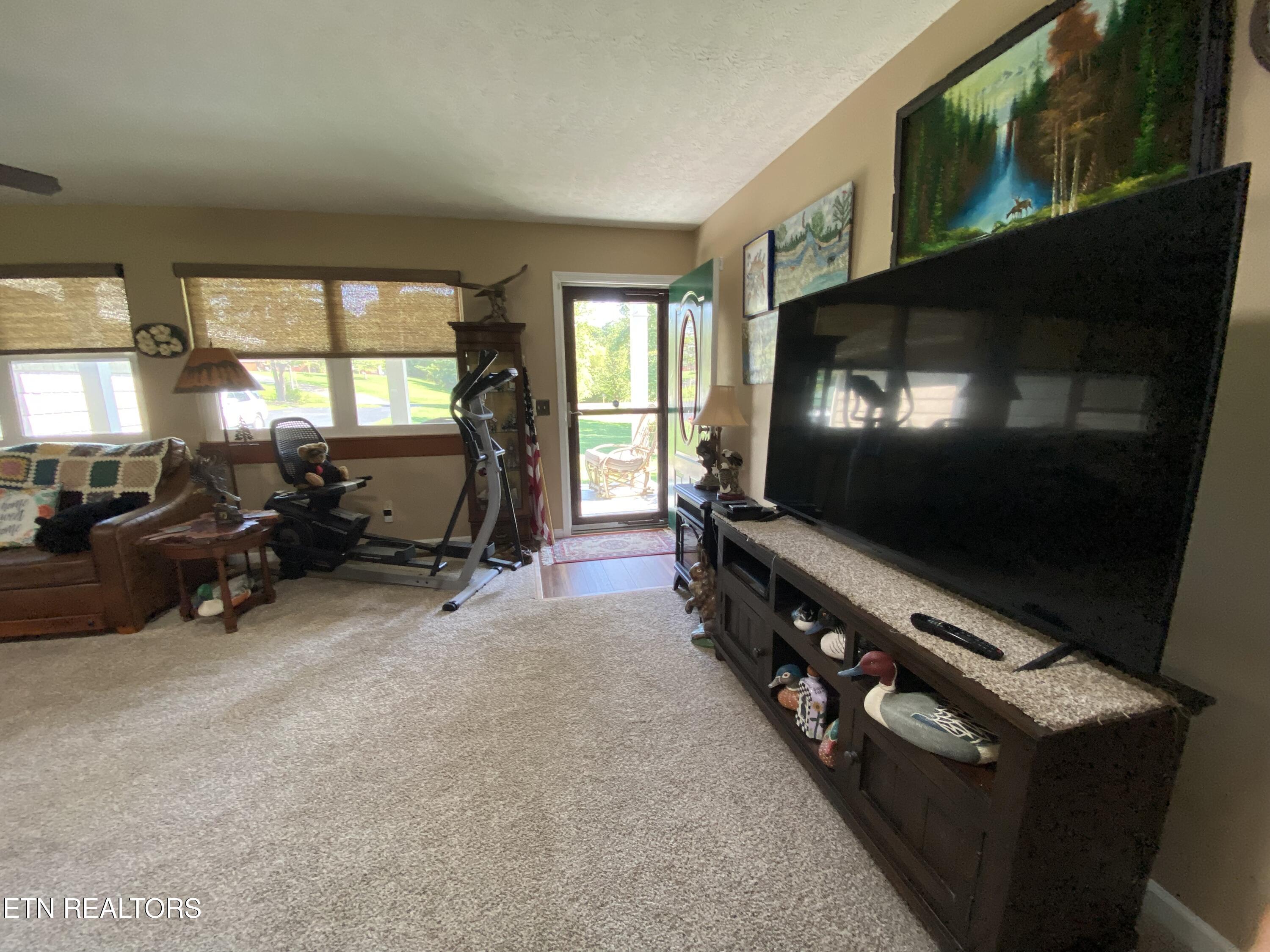 886 Pin Hook Road Spring City, TN 37381 - Photo 7 of 30 Front entrance