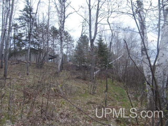 39.30-ac Armstrong Lake Road Crystal Falls, MI 49920 - Photo 10 of 24