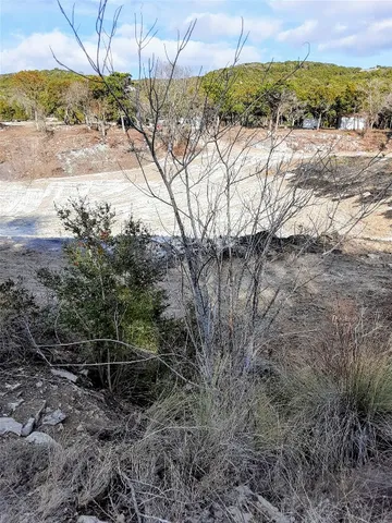 a view of a dry yard with wooden fence and trees