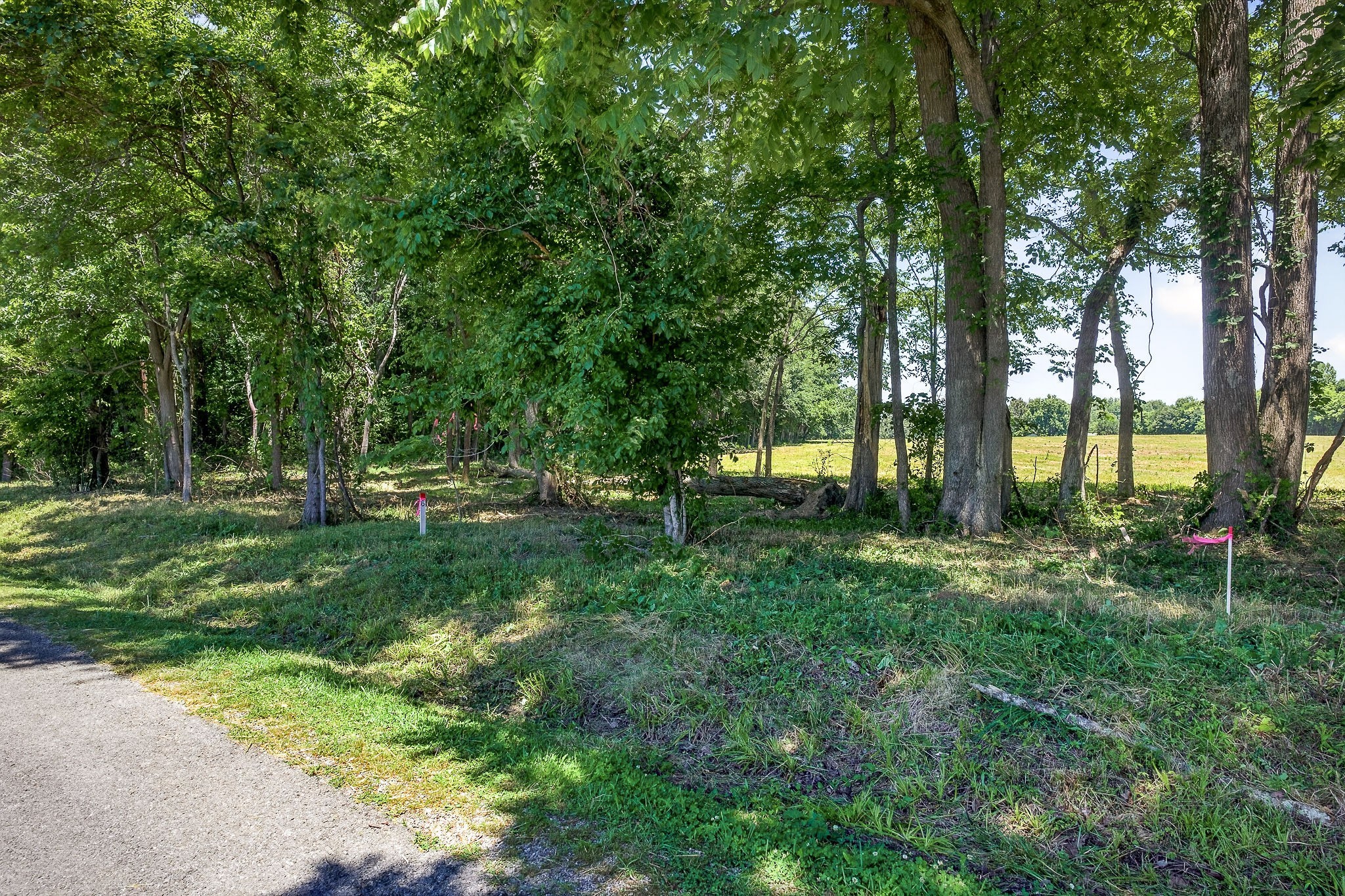 0 Bethel Road Smithville, TN 37166 - Photo 17 of 19 Gallery Image 17