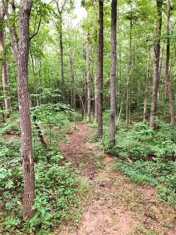 $529,500 | 3060 Cypress Cove, Ball Ground, GA 30107