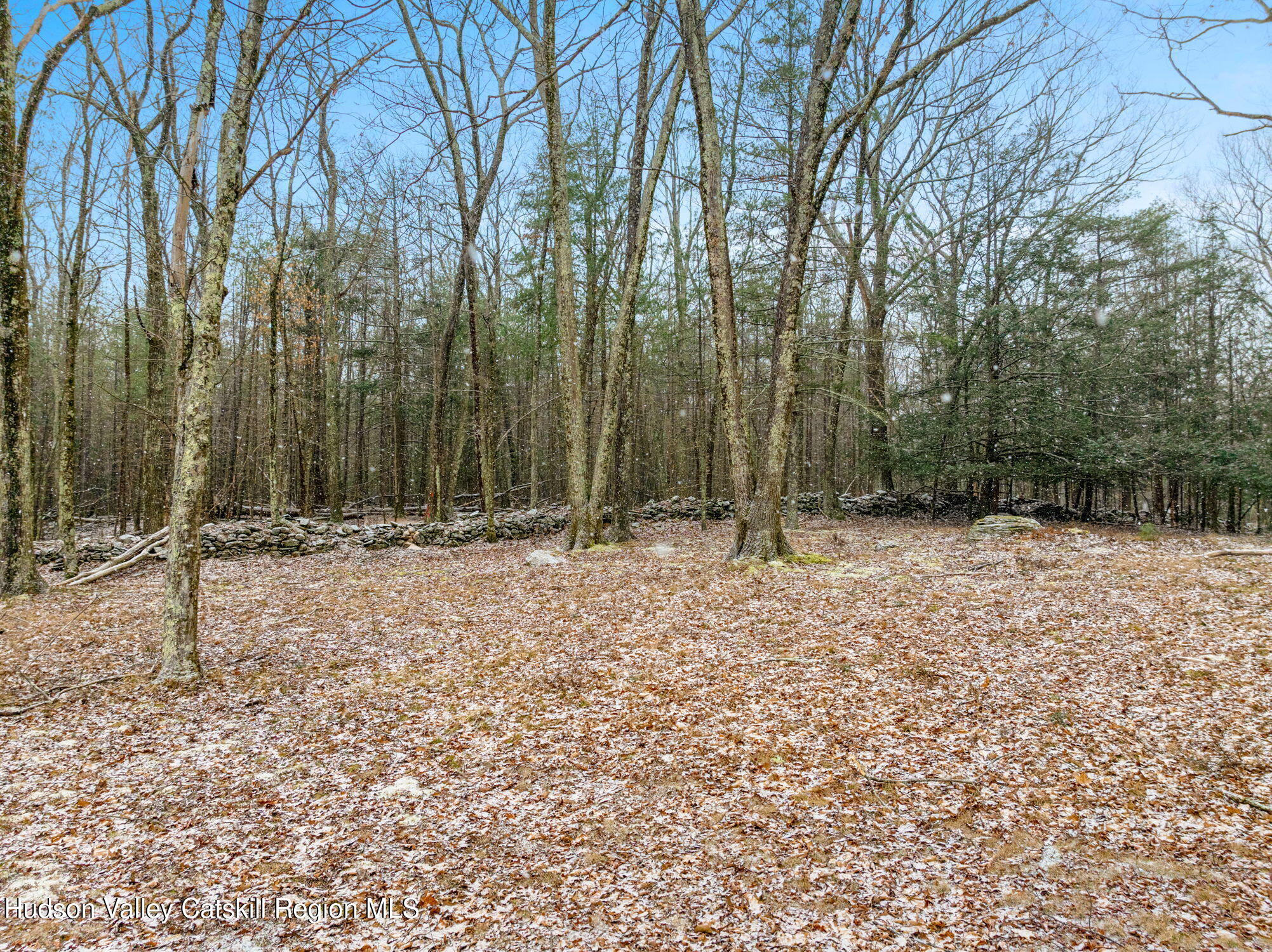 284 Sheldon Hill Road Olivebridge, NY 12461 - Photo 25 of 29 a backyard of a house with lots of green space