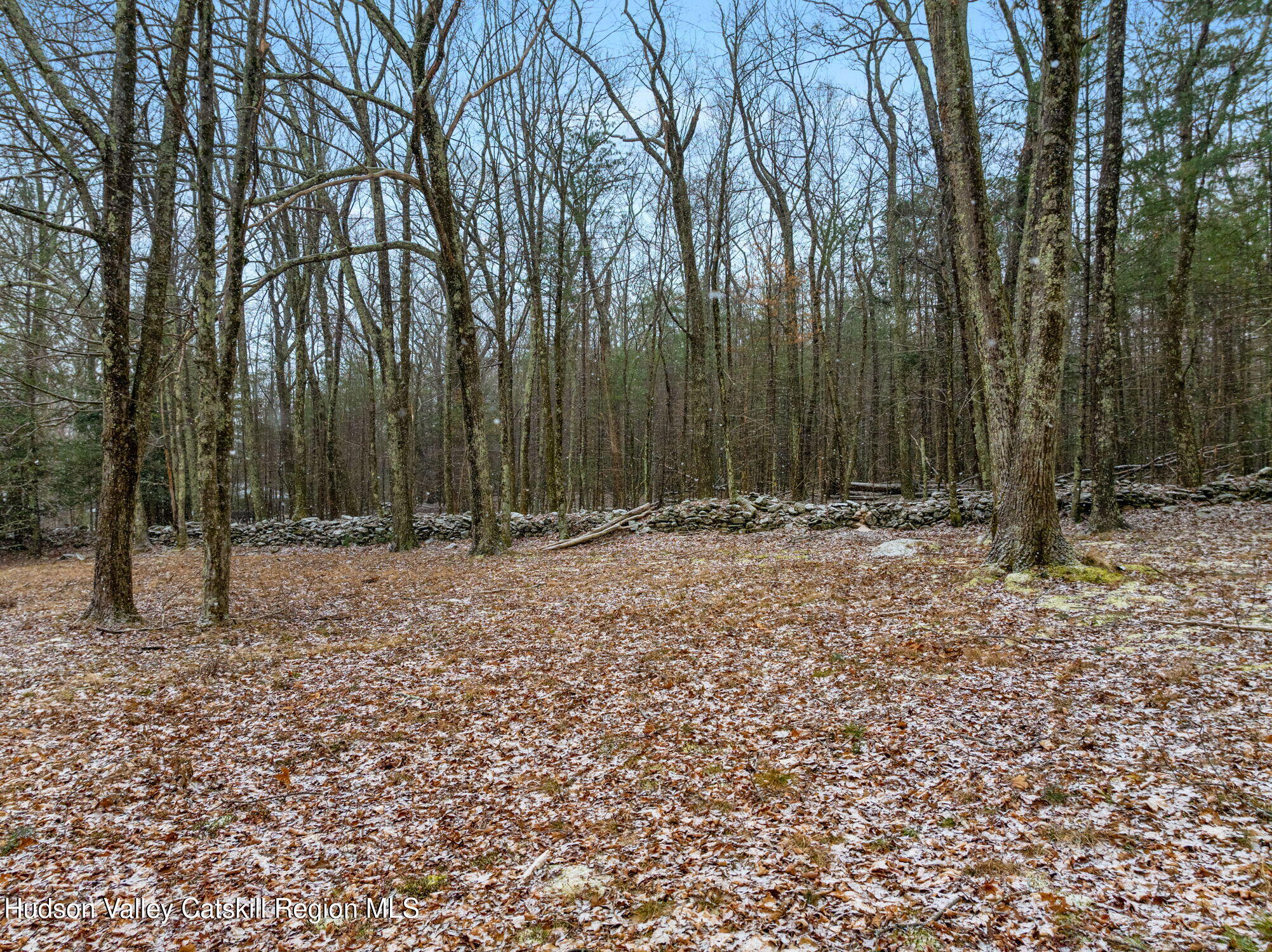 284 Sheldon Hill Road Olivebridge, NY 12461 - Photo 26 of 29 a view of outdoor space with trees