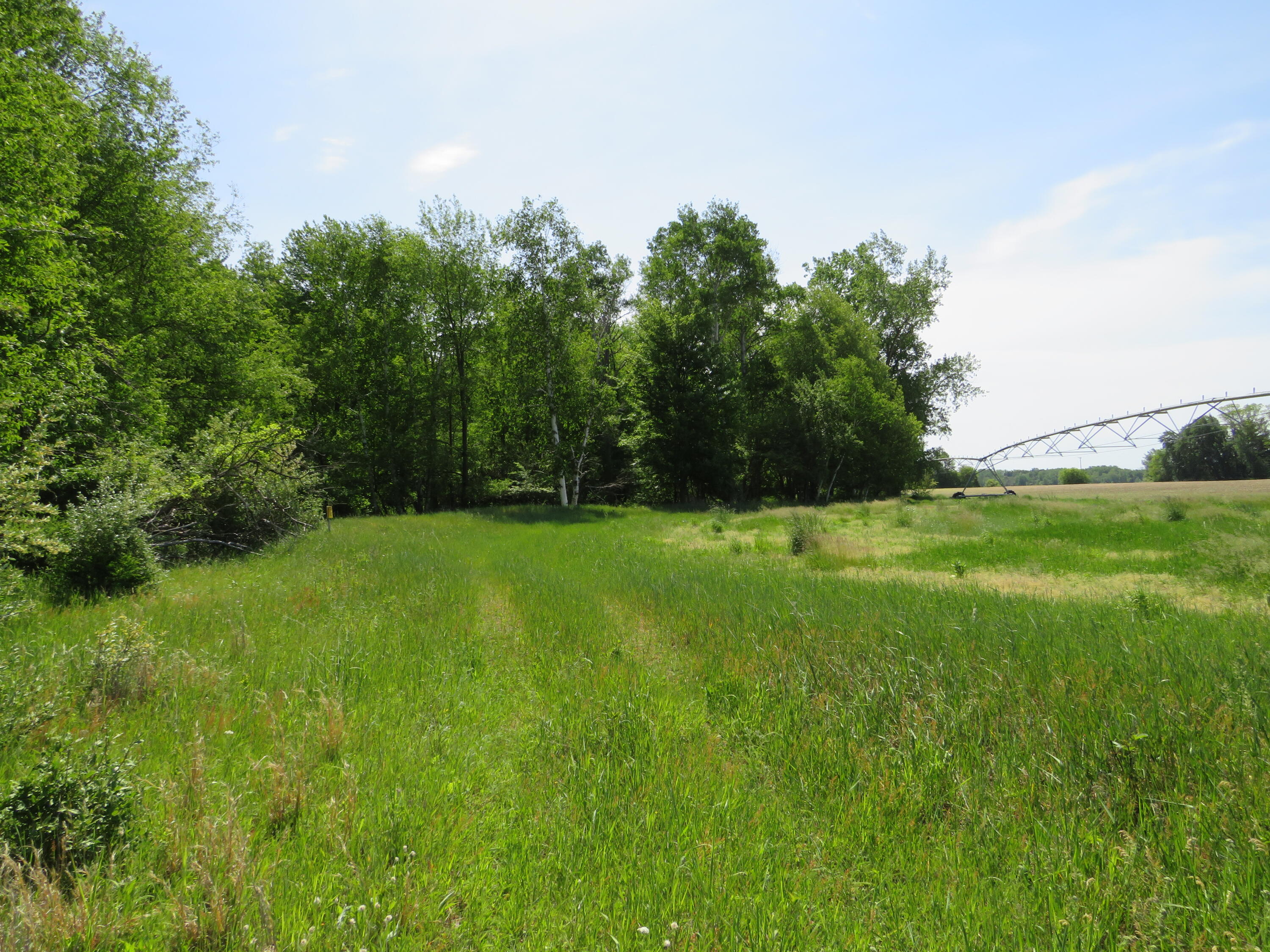 Vl South Elkton Road Owendale, MI 48754 - Photo 20 of 39 IMG_6495