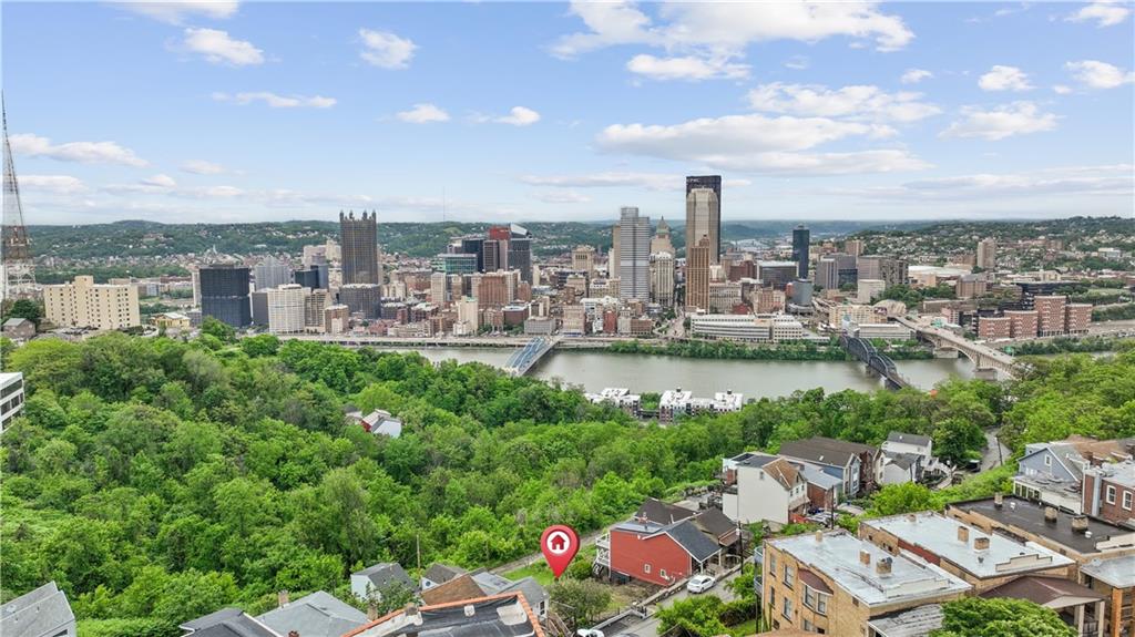 446 William Street Mount Washington, PA 15211 - Photo 2 of 28 a view of a lake with a city