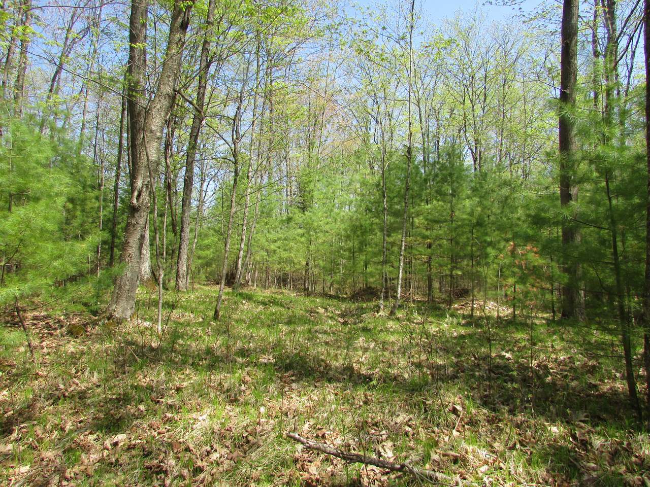 On Ridgeview Drive Harshaw, WI 54529 - Photo 2 of 19 Gallery Image 2