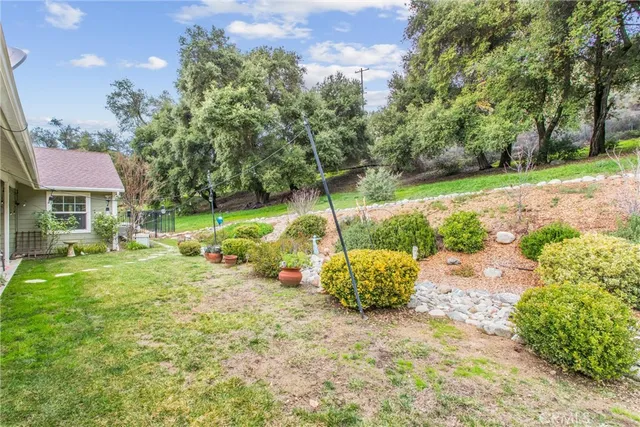 a view of a backyard with table and chairs potted plants and large tree
