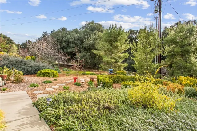 a view of a pathway both side of yard