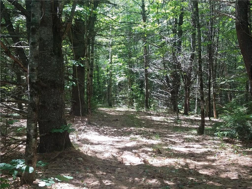Tbd Ben Stone Road Hebron, ME 04238 - Photo 14 of 16 Photo