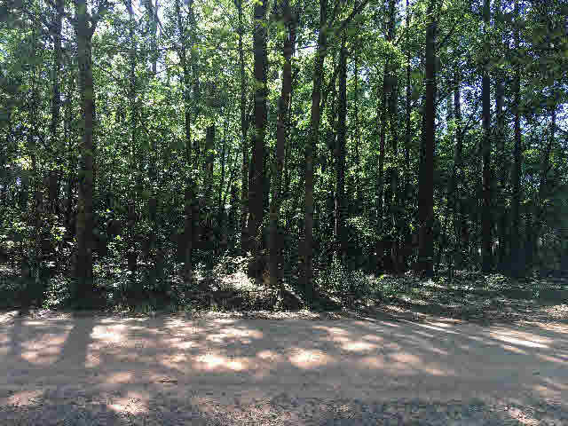 14839 Juniper Street North Foley, AL 36535 - Photo 4 of 4