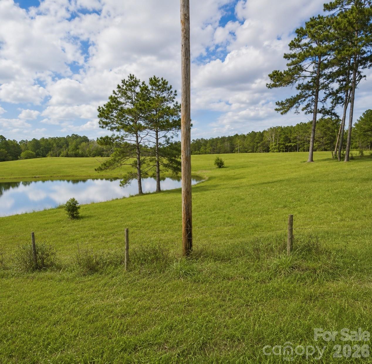 678 Old Stage Road Edgefield, SC 29824 - Photo 6 of 6