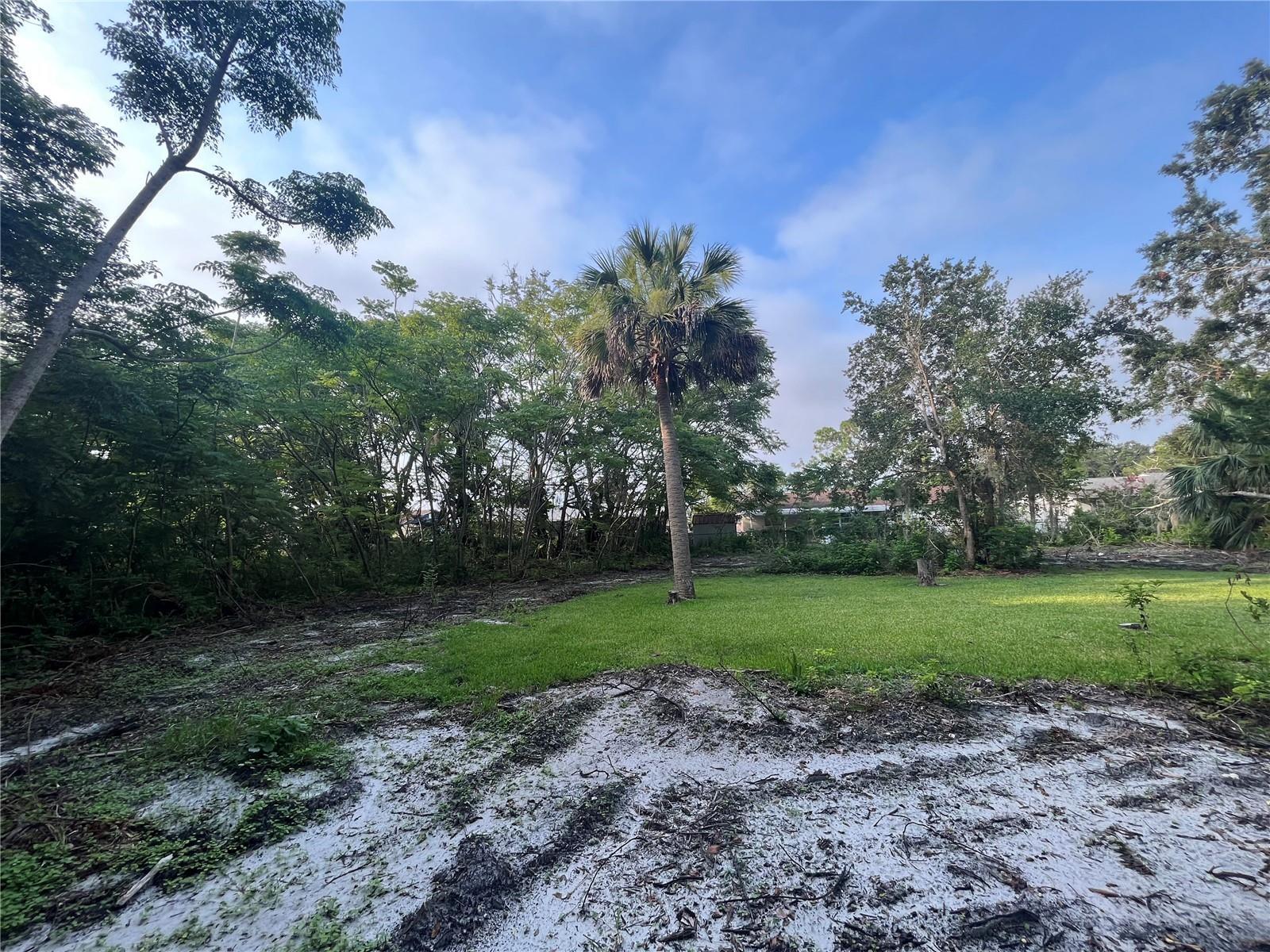0 Reed Canal Road South Daytona, FL 32119 - Photo 18 of 24 18