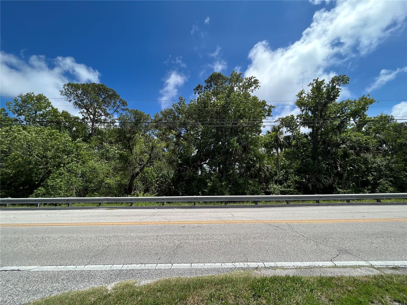 0 Reed Canal Road South Daytona, FL 32119 - Photo 3 of 24 3