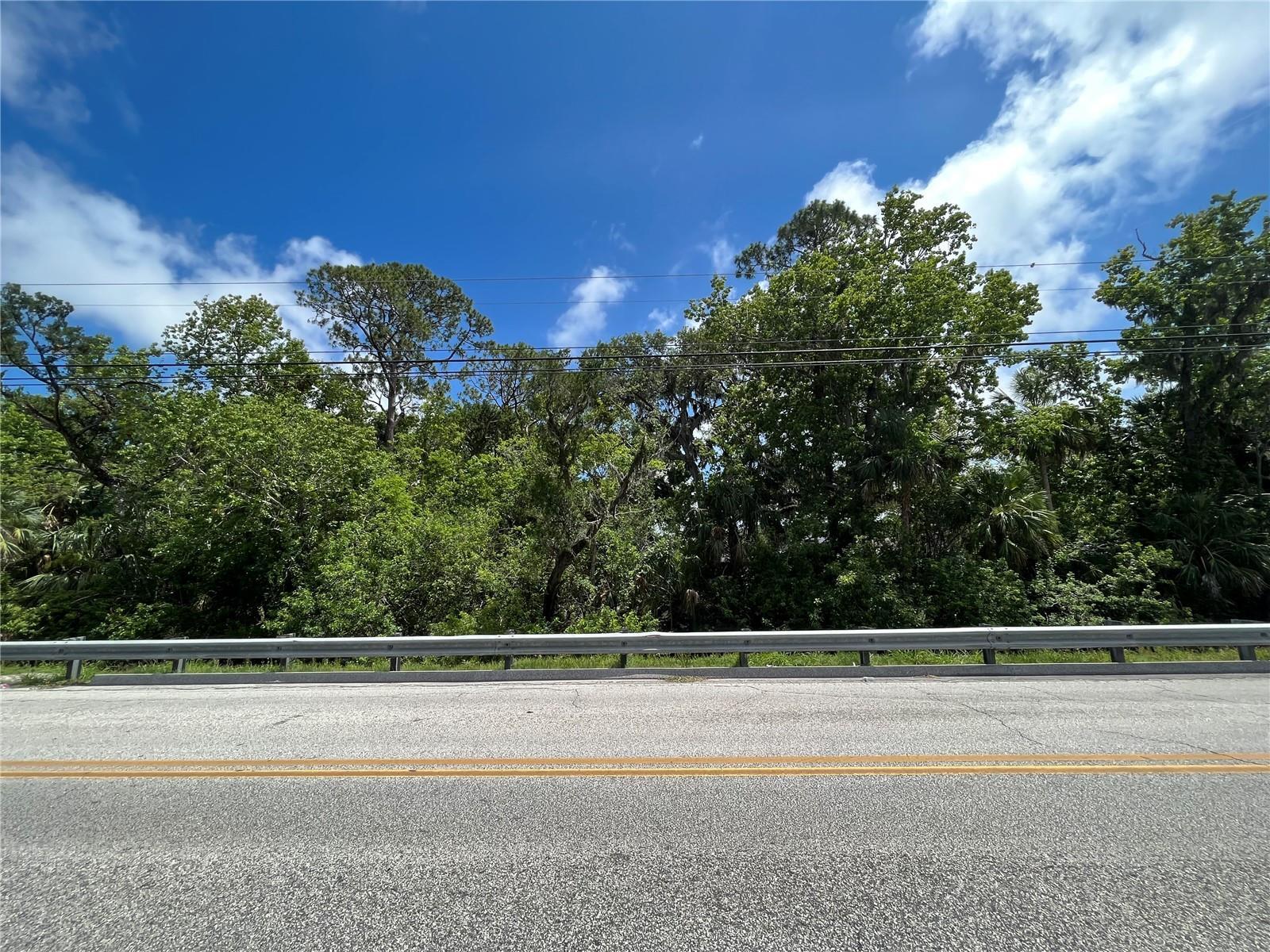 0 Reed Canal Road South Daytona, FL 32119 - Photo 4 of 24 4