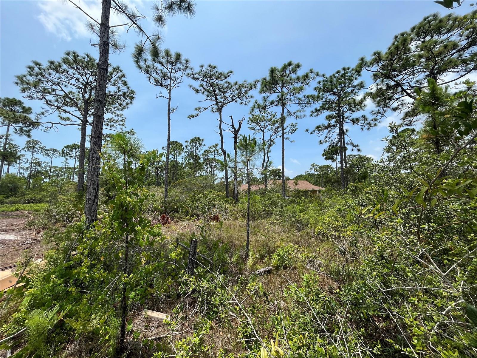 0 Reed Canal Road South Daytona, FL 32119 - Photo 8 of 24 8