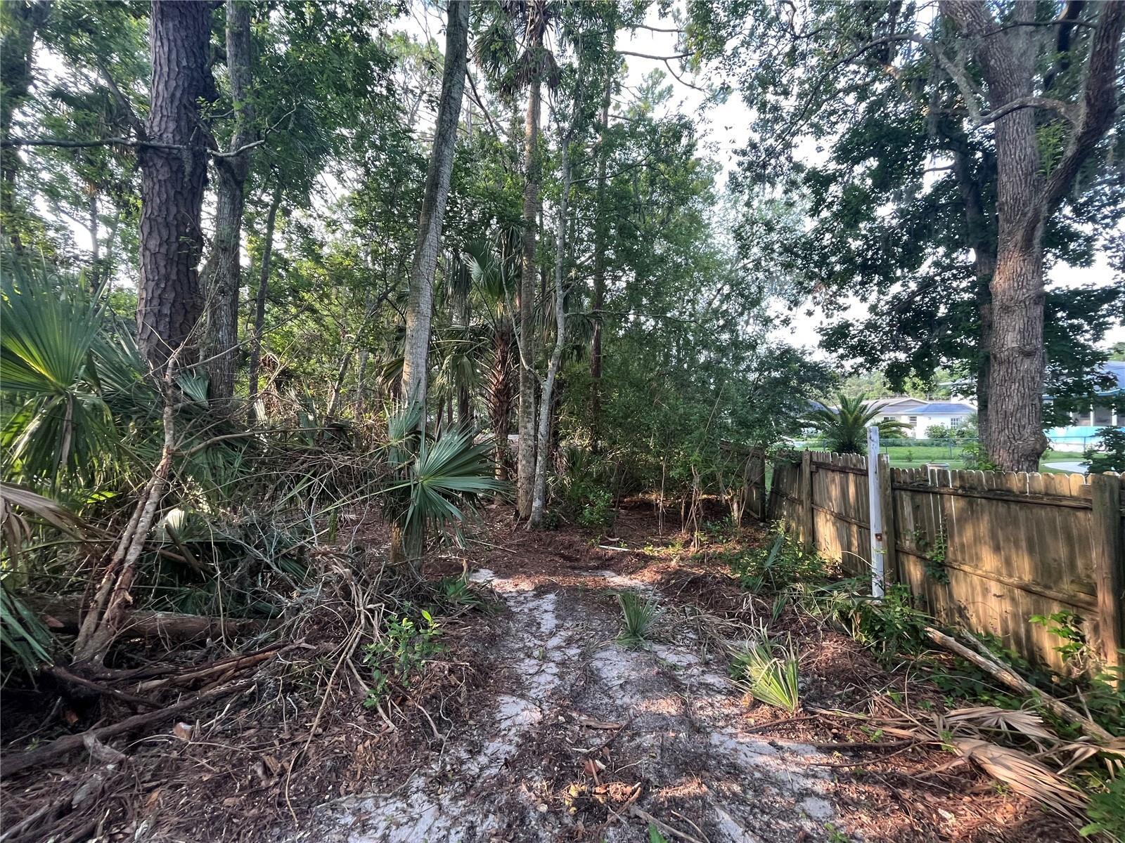 0 Reed Canal Road South Daytona, FL 32119 - Photo 9 of 24 9