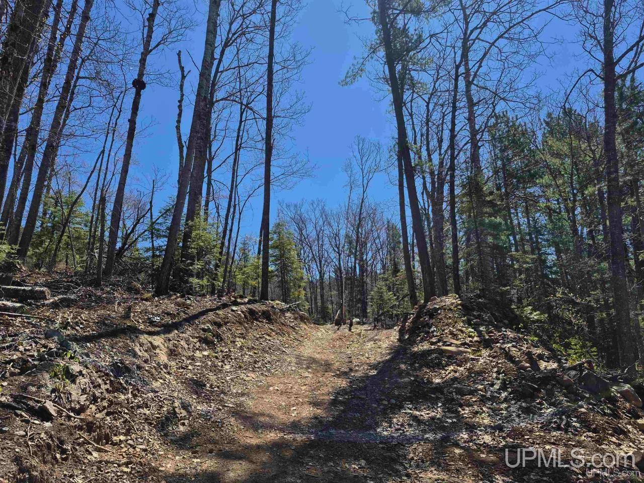 46 County Aat Road Ishpeming, MI 49849 - Photo 42 of 44