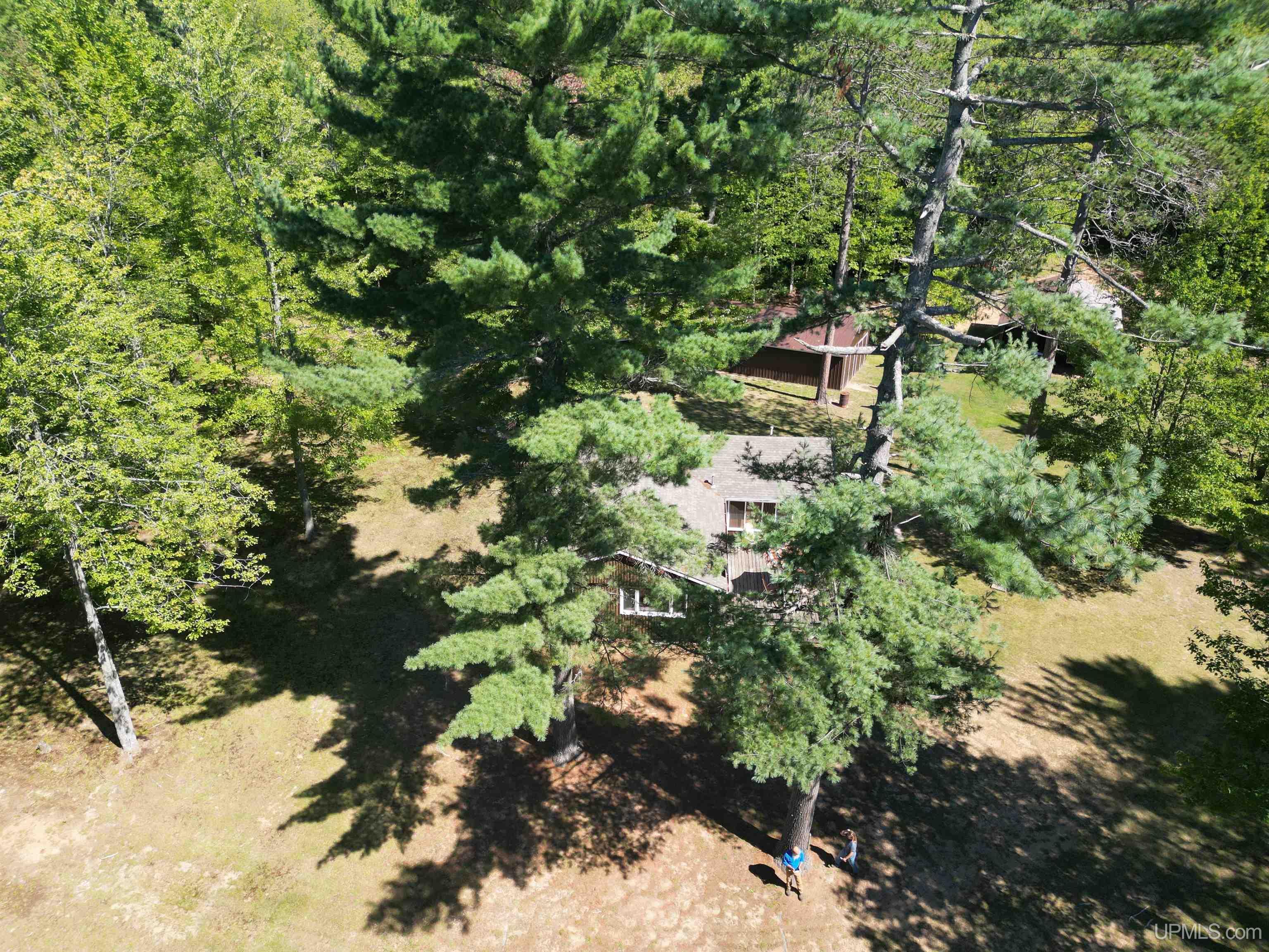 13325 County 509 Y Road Rapid River, MI 49878 - Photo 13 of 52