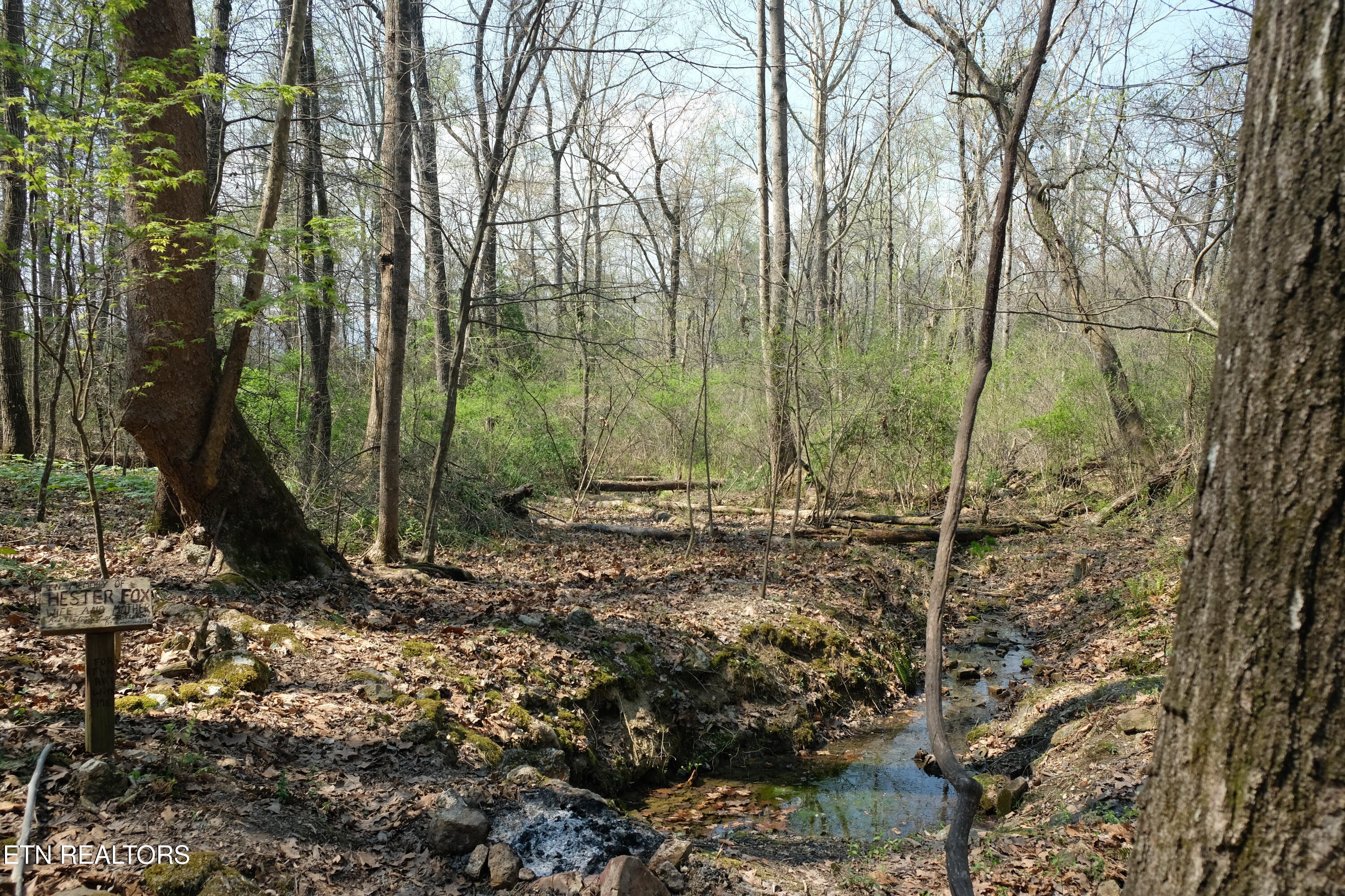 3578 Wolf Creek Road Spring City, TN 37381 - Photo 4 of 16 DSCF4652