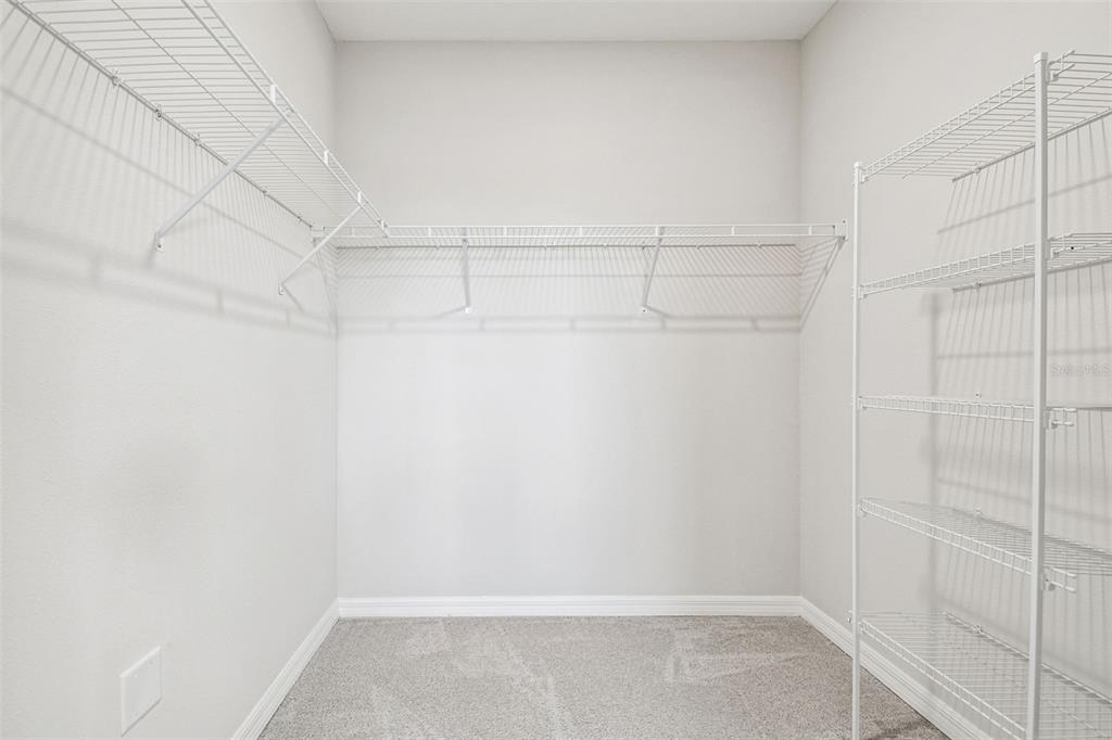 3827 Sunny Spring Street Plant City, FL 33565 - Photo 36 of 57 a view of a room with racks on the wall