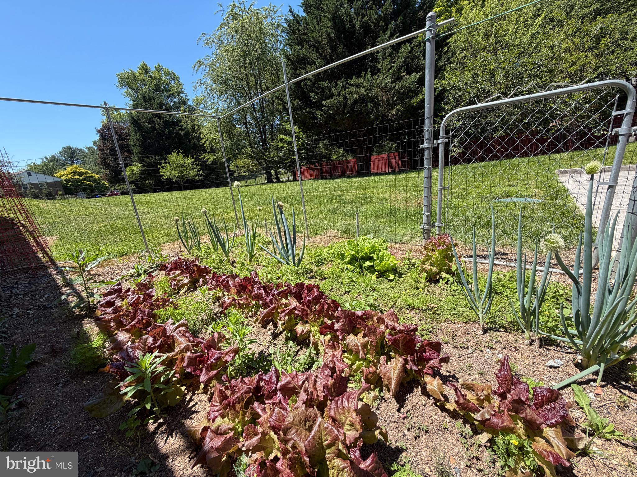12416 West Old Baltimore Road Boyds, MD 20841 - Photo 37 of 46 Fenced-in garden
