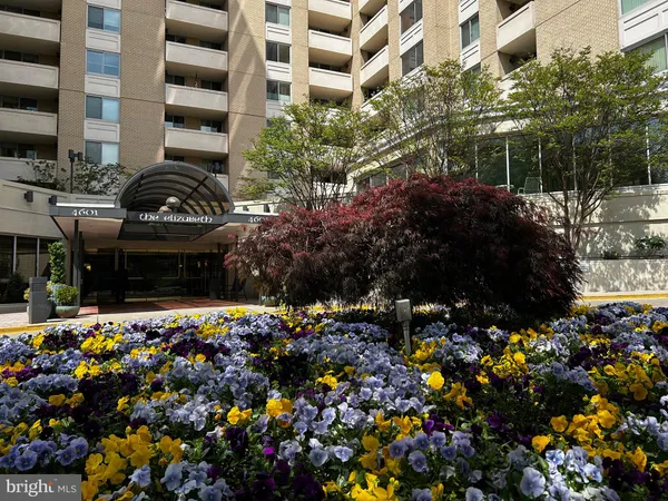 a view of a garden with flowers and flowers