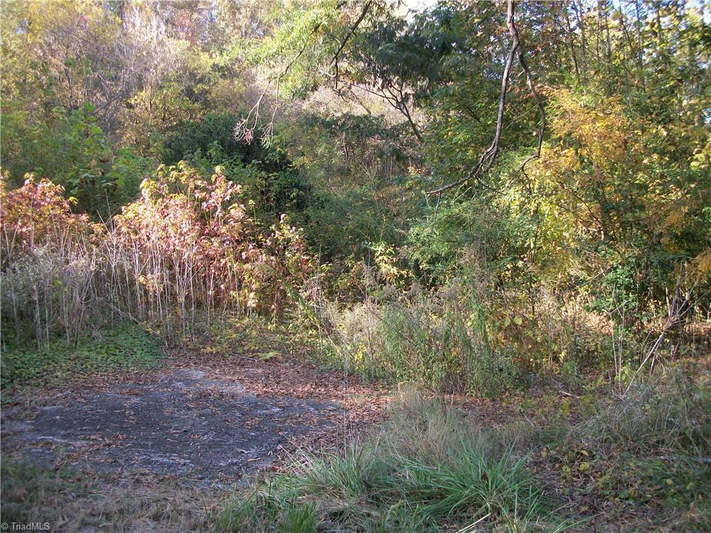 1656 Highway 87 Elon, NC 27244 - Photo 3 of 24