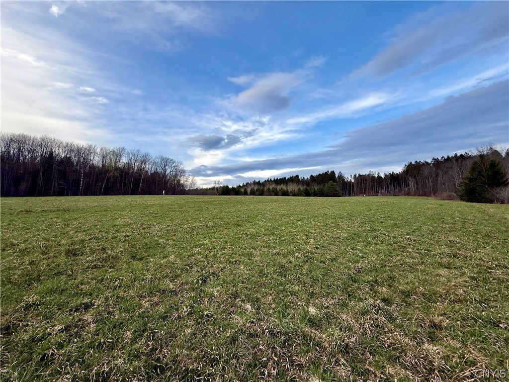 Springer Road DeRuyter, NY 13052 - Photo 13 of 13 Gallery Image 13