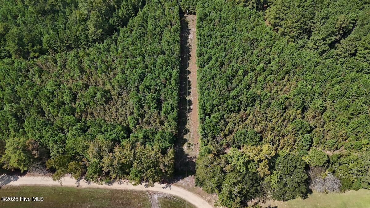 0 7th Street Lumberton, NC 28358 - Photo 14 of 30 14