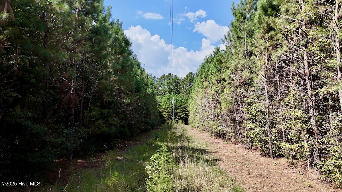 0 7th Street Lumberton, NC 28358 - Photo 17 of 30 17